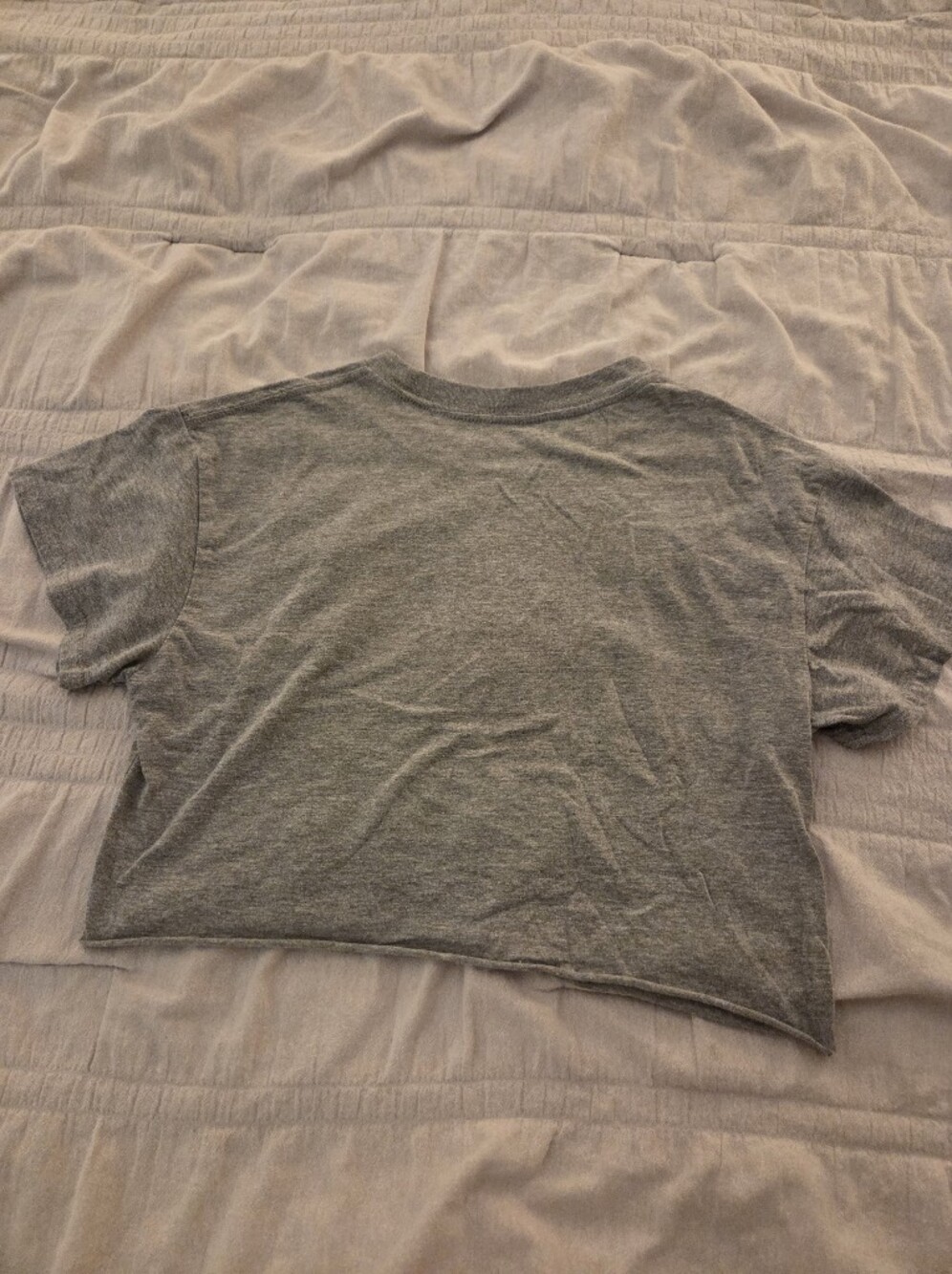 Taylor Swift Reputation Tour Gray Graphic Crop Tee - Picture 4 of 4